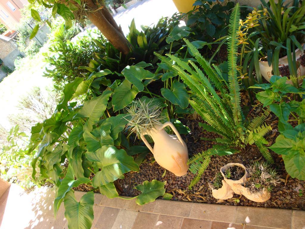 Andoramare B&B 外观 照片